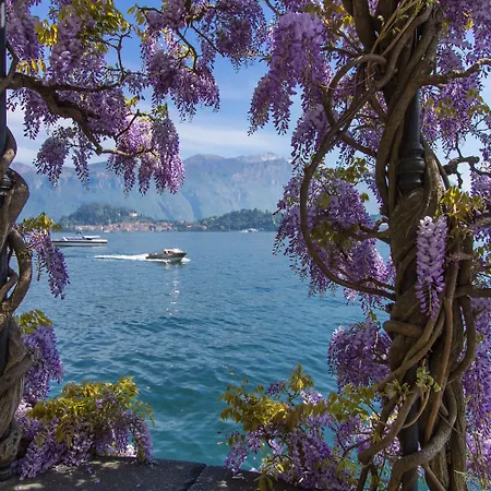 Penthouse-lakeview-ac-private Garden Apartment *