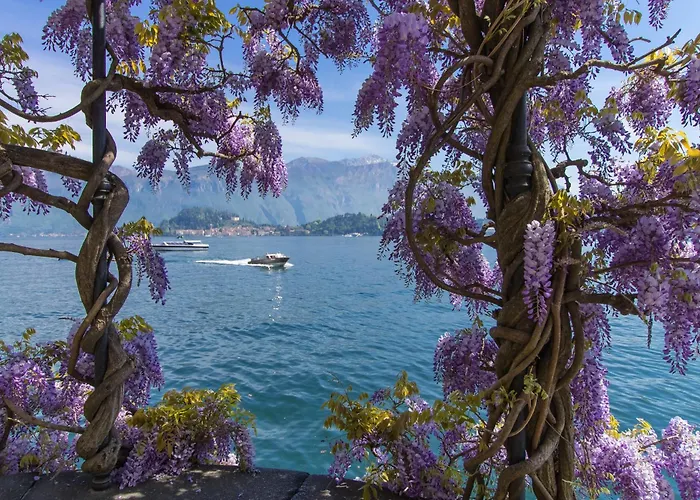 Penthouse-lakeview-ac-private Garden